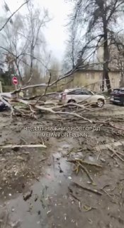 В Нижнем Новгороде зафиксированы последствия урагана