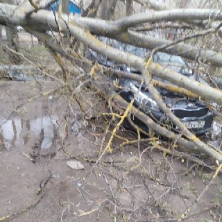 Иллюстрация 1