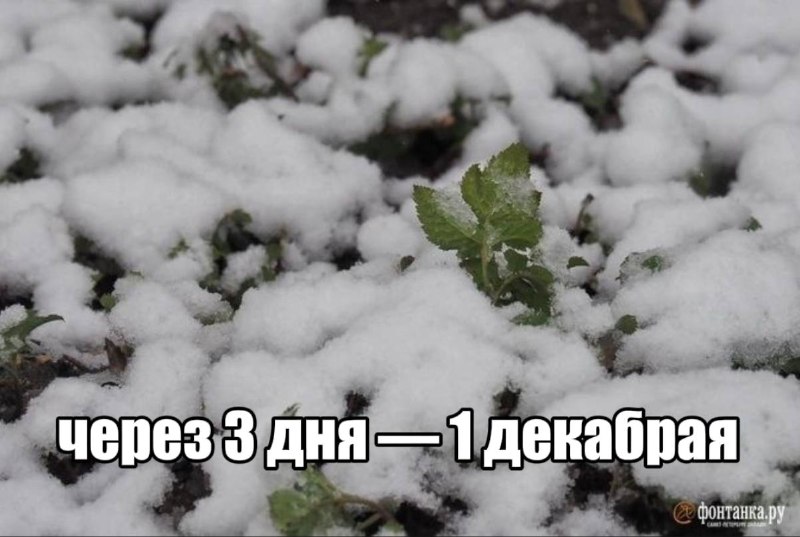 В Петербурге и Ленинградской области зафиксированы высокие показатели осадков за последние три дня