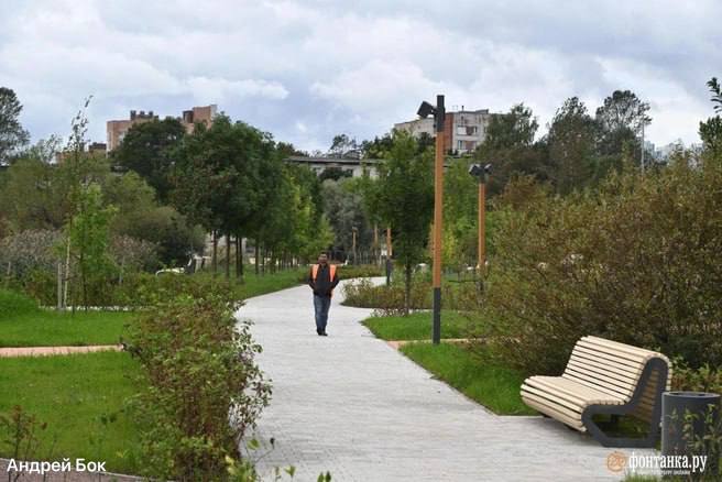 Освещение в Купчинском сквере не будет работать до июня