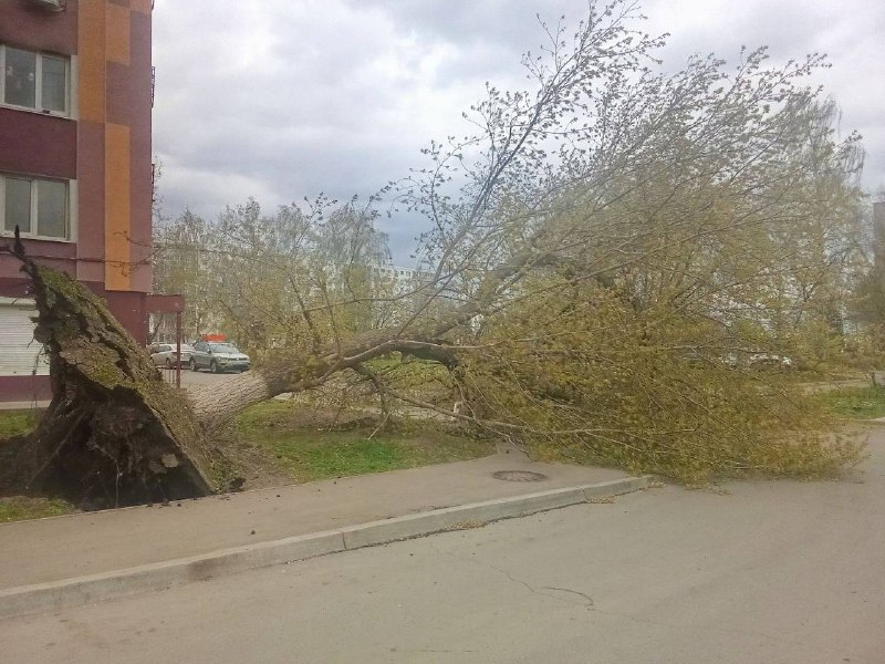 Иллюстрация 2