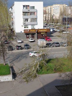 Иллюстрация 4