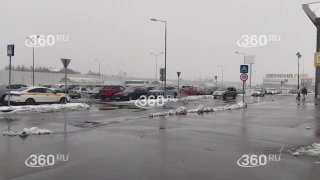 Снего- и деревопады продолжаются в московском регионе