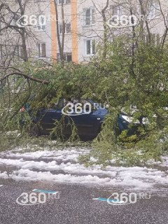 Иллюстрация 3