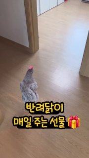 Иллюстрация 2