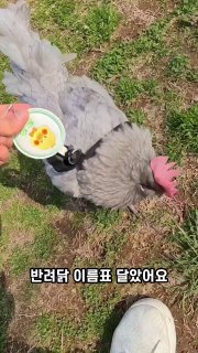 Иллюстрация 3