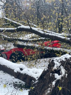 Иллюстрация 2