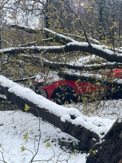 Иллюстрация 3