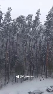 Последствия аномальных снегопадов в Москве и области