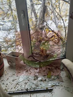 Иллюстрация 3