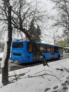 Иллюстрация 1