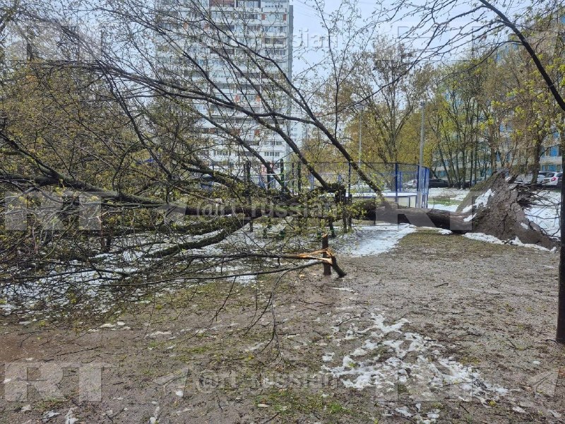 Иллюстрация 4