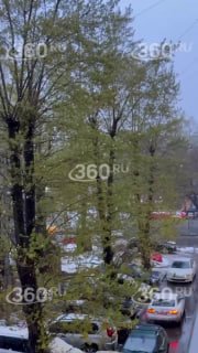 Иллюстрация 2