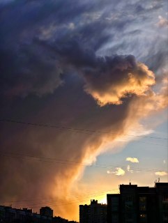 Иллюстрация 1