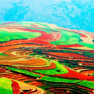 Иллюстрация 1