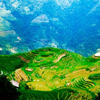 Иллюстрация 5