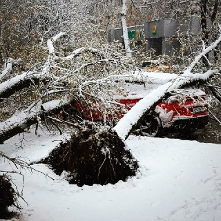 В столичном регионе ликвидируют последствия снегопада и предупреждают о метели