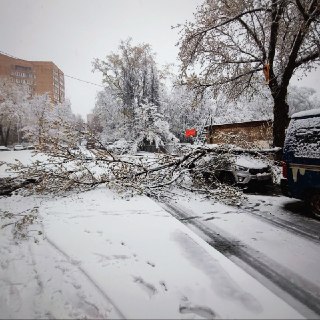 Иллюстрация 4