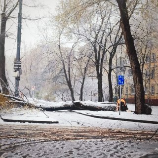 Иллюстрация 5