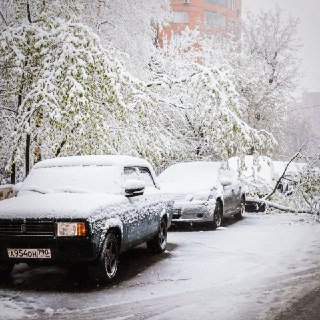 Иллюстрация 6