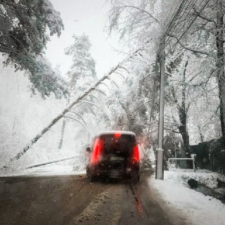 Иллюстрация 7