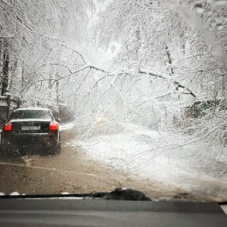 Иллюстрация 8