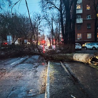 Иллюстрация 9