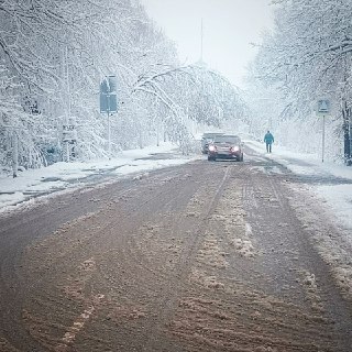 Иллюстрация 1