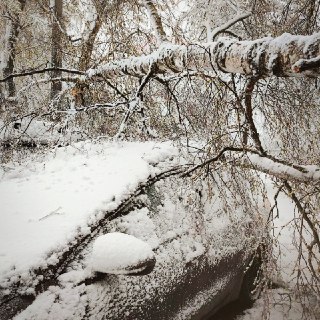 Иллюстрация 2