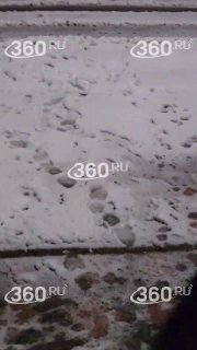 Аномальные снегопады и циклон в Московском регионе