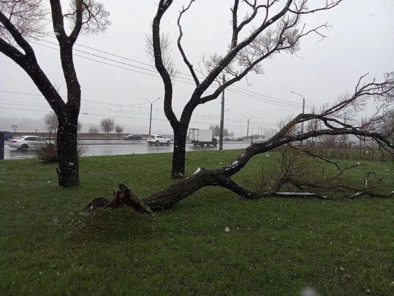 Иллюстрация 3