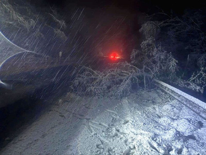 Иллюстрация 2