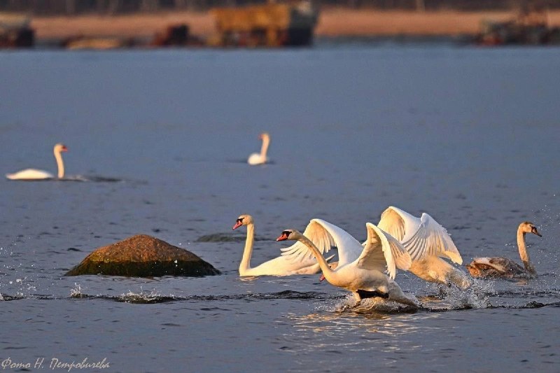 Иллюстрация 2