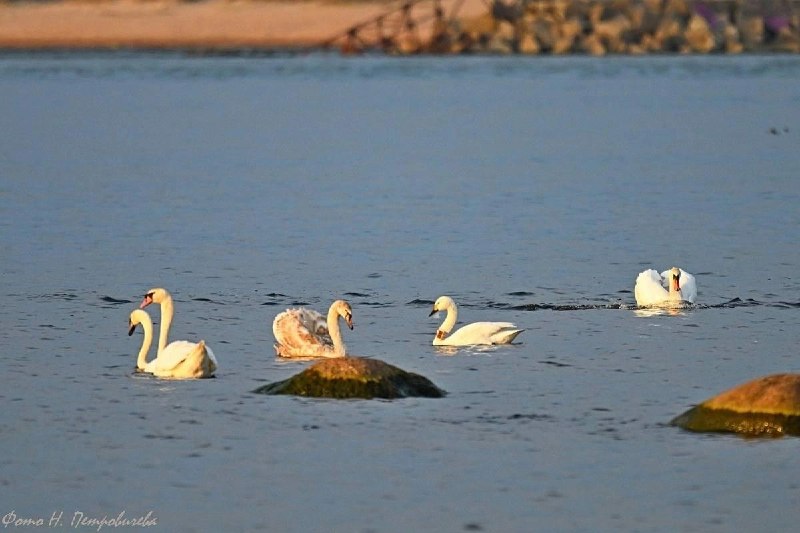 Иллюстрация 3