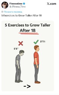 Подборка упражнений для улучшения осанки и визуального увеличения роста