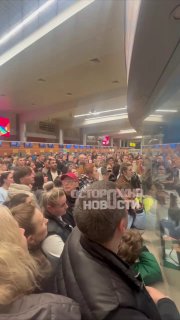 Массовые задержки рейсов «Победы» в Шереметьево из-за снегопада