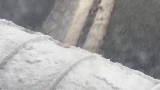 Иллюстрация 3