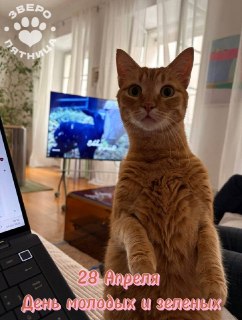 ЗвероПятница: День молодых и зелёных