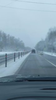 Иллюстрация 2