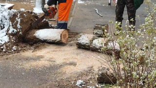 Иллюстрация 2