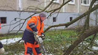 В Раменском устраняют последствия непогоды в микрорайоне Холодово