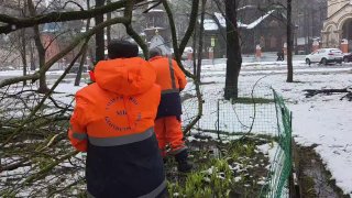 Иллюстрация 1