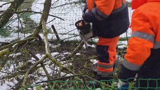 Иллюстрация 2