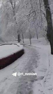 В Москве и Подмосковье продолжается сильный снегопад, падают деревья