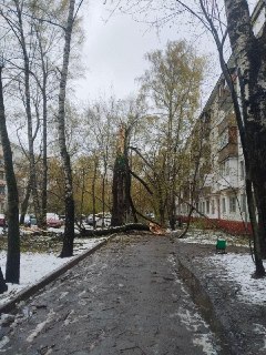 Иллюстрация 2