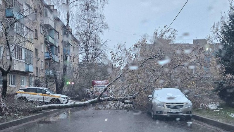 Иллюстрация 1