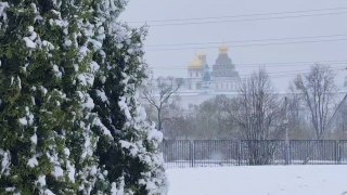 Иллюстрация 3