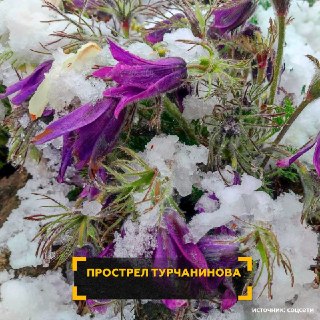 Иллюстрация 2