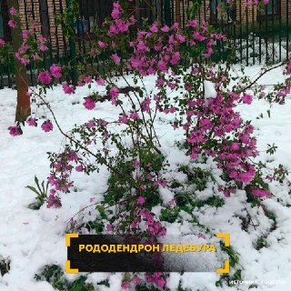 Иллюстрация 3