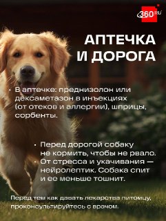 Иллюстрация 2